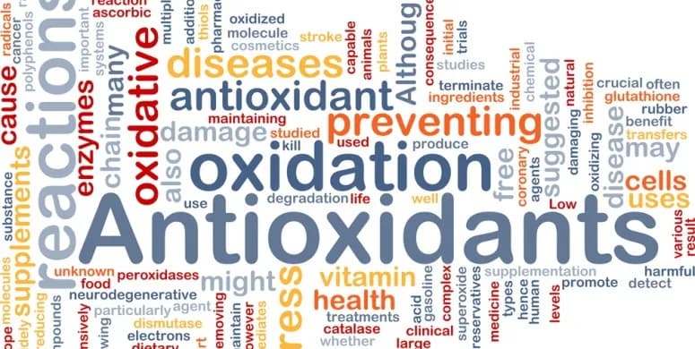 What are antioxidants? Learn more about healthy nutrition