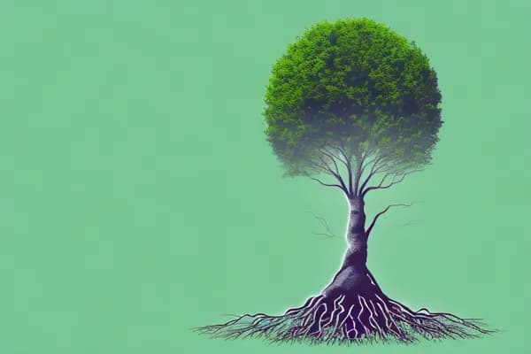 How to Cultivate Emotional Wellness