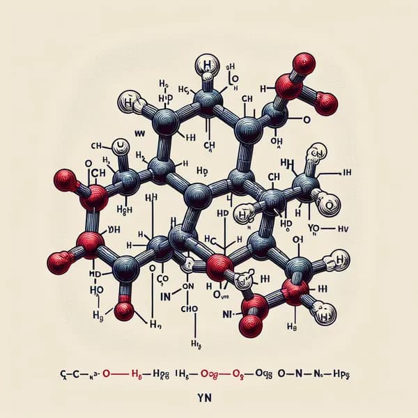 Understanding Lysine: Essential Amino Acid Benefits Guide