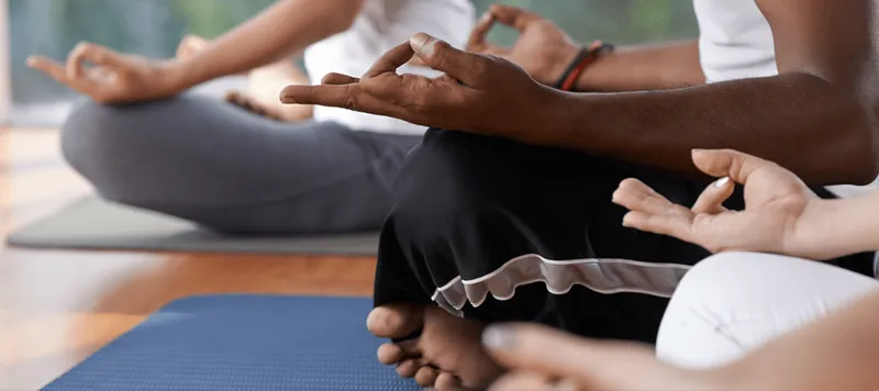 The longevity lifestyle